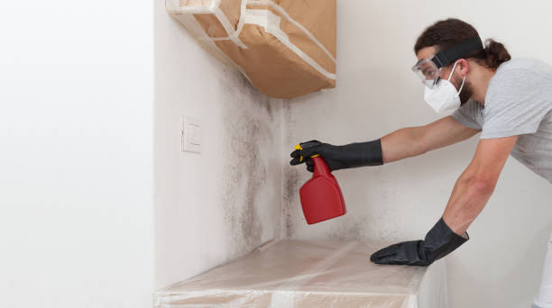 Professional Bathroom Mold Removal technician working in Central City, IL