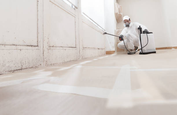 24/7 Emergency Bathroom Mold Removal experts in Central City, IL