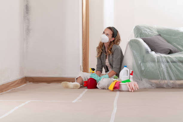Reliable Bathroom Mold Removal contractor in Central City, IL by Mold Remediation HQ